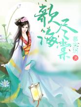 澳门版全年免费大全依兰seo